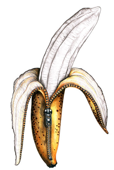 banana peal photo